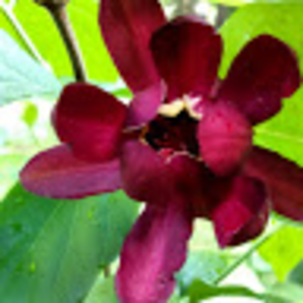 Meet your Posher, Sabine